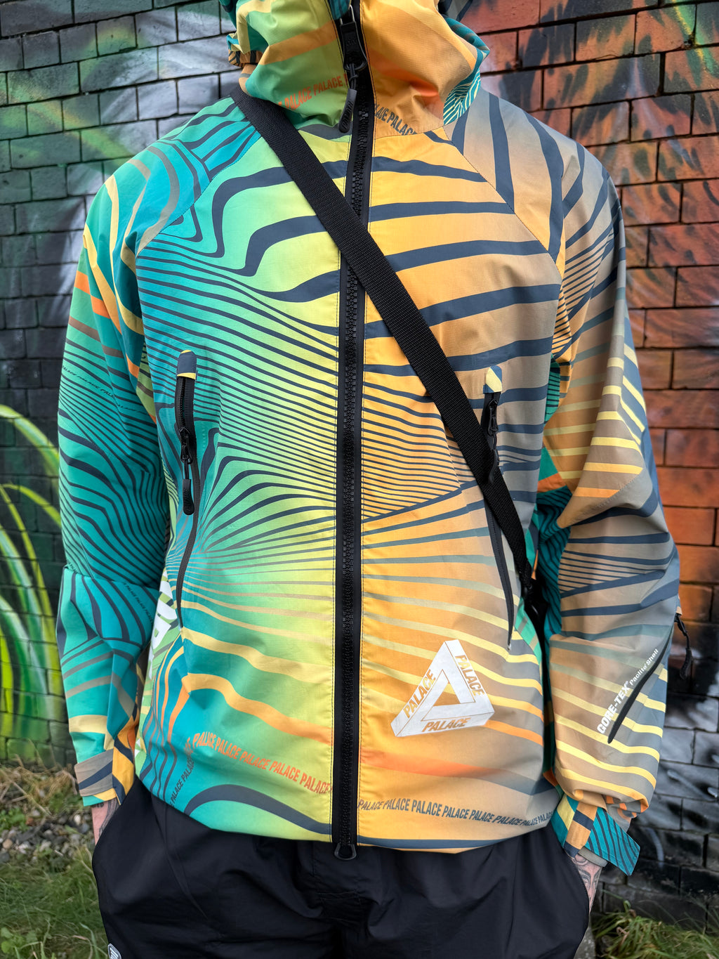 Palace GORE-TEX vortex paclite jacket